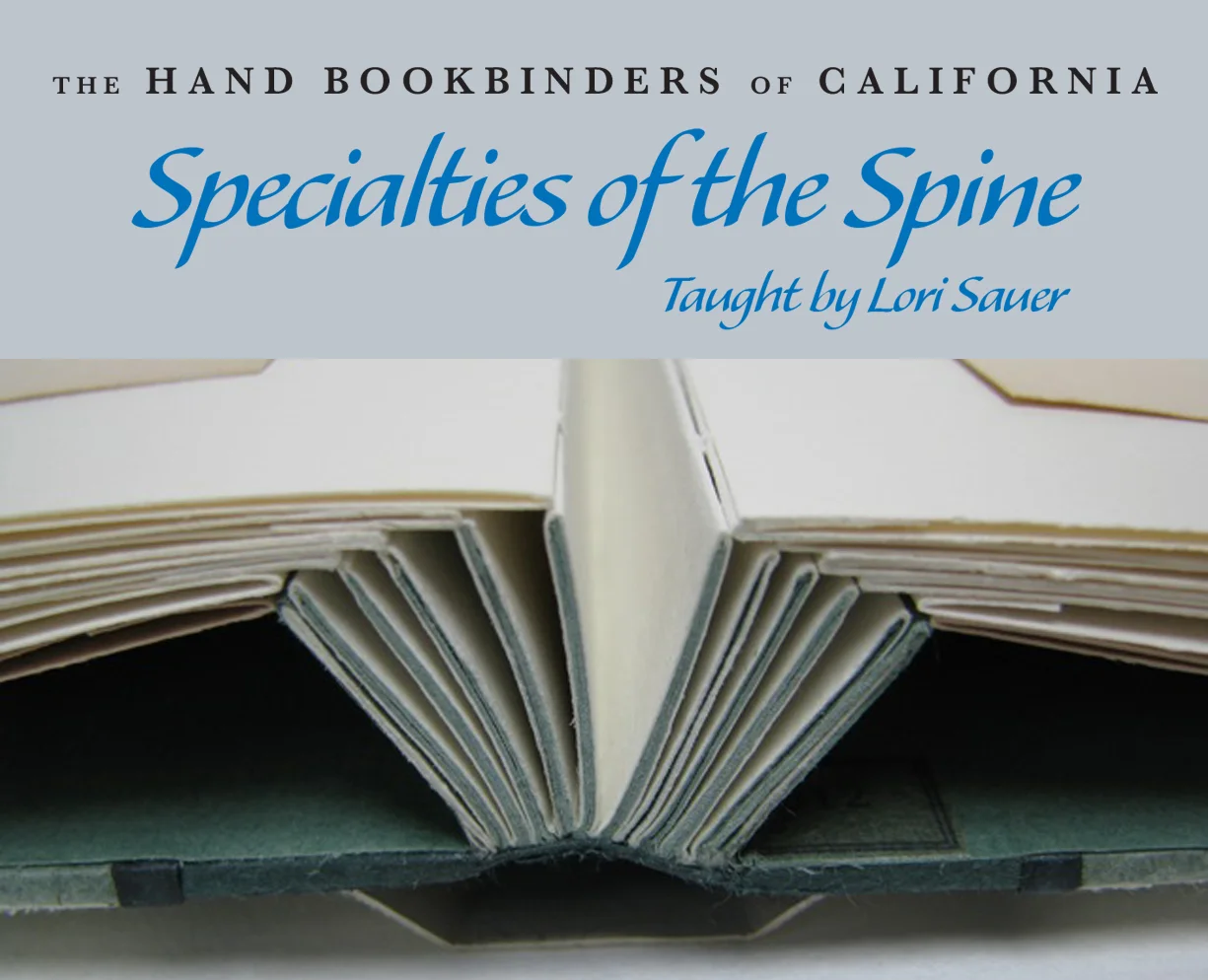 lori_sauer_banner2015.jpg