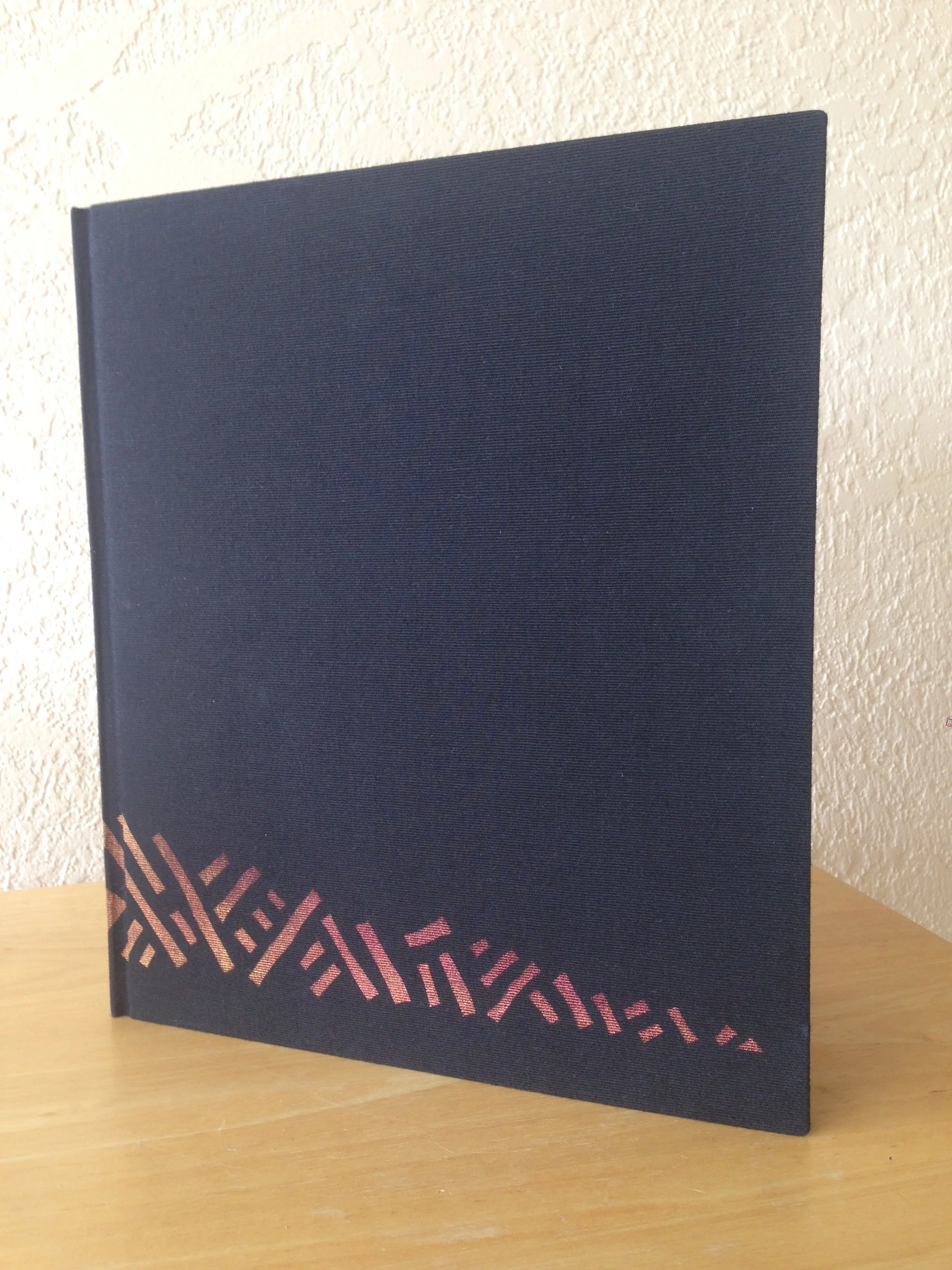 sabina nies workshop 2016b.JPG