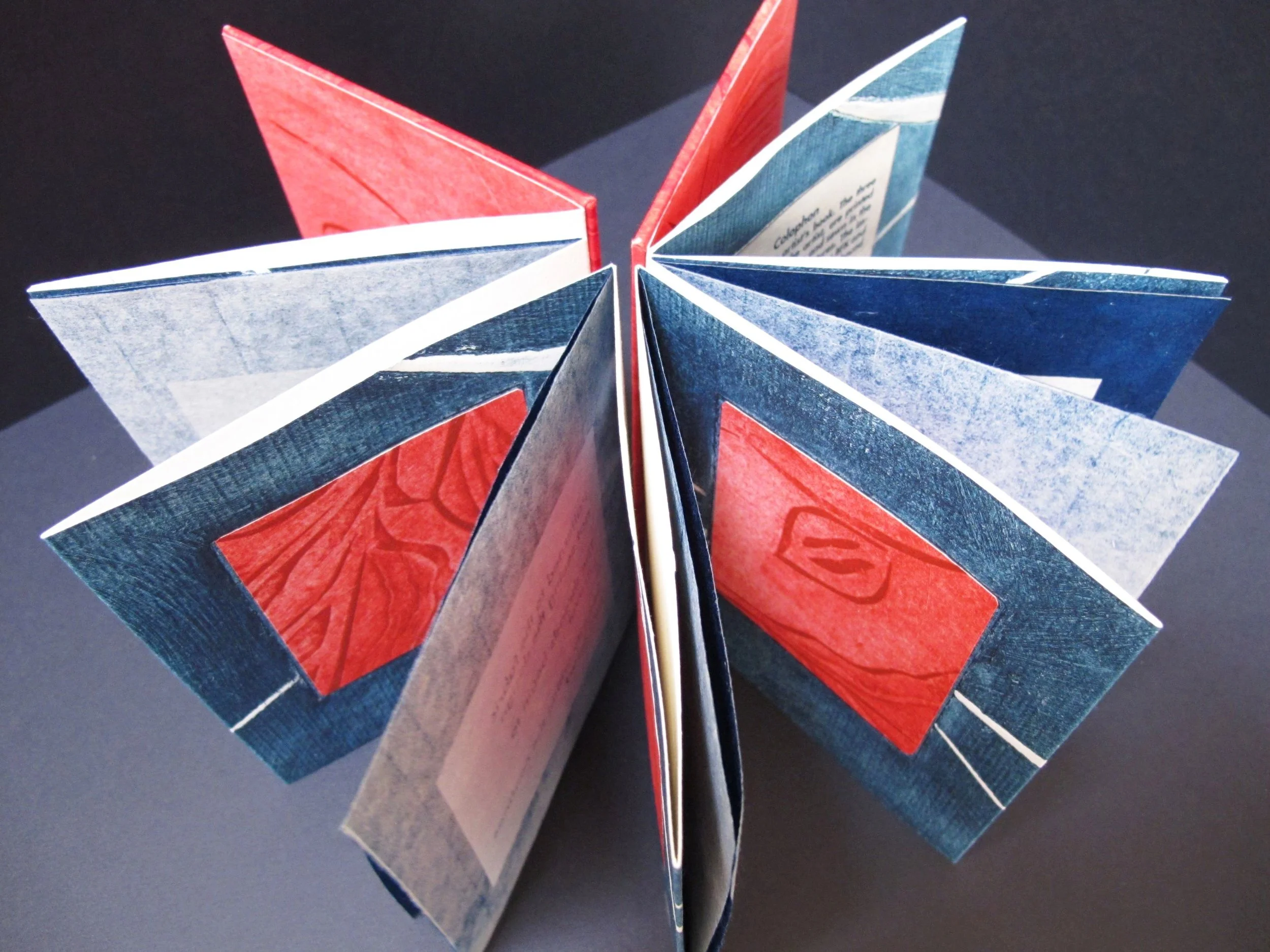 Pisano_Patterned to the Fabric.jpg