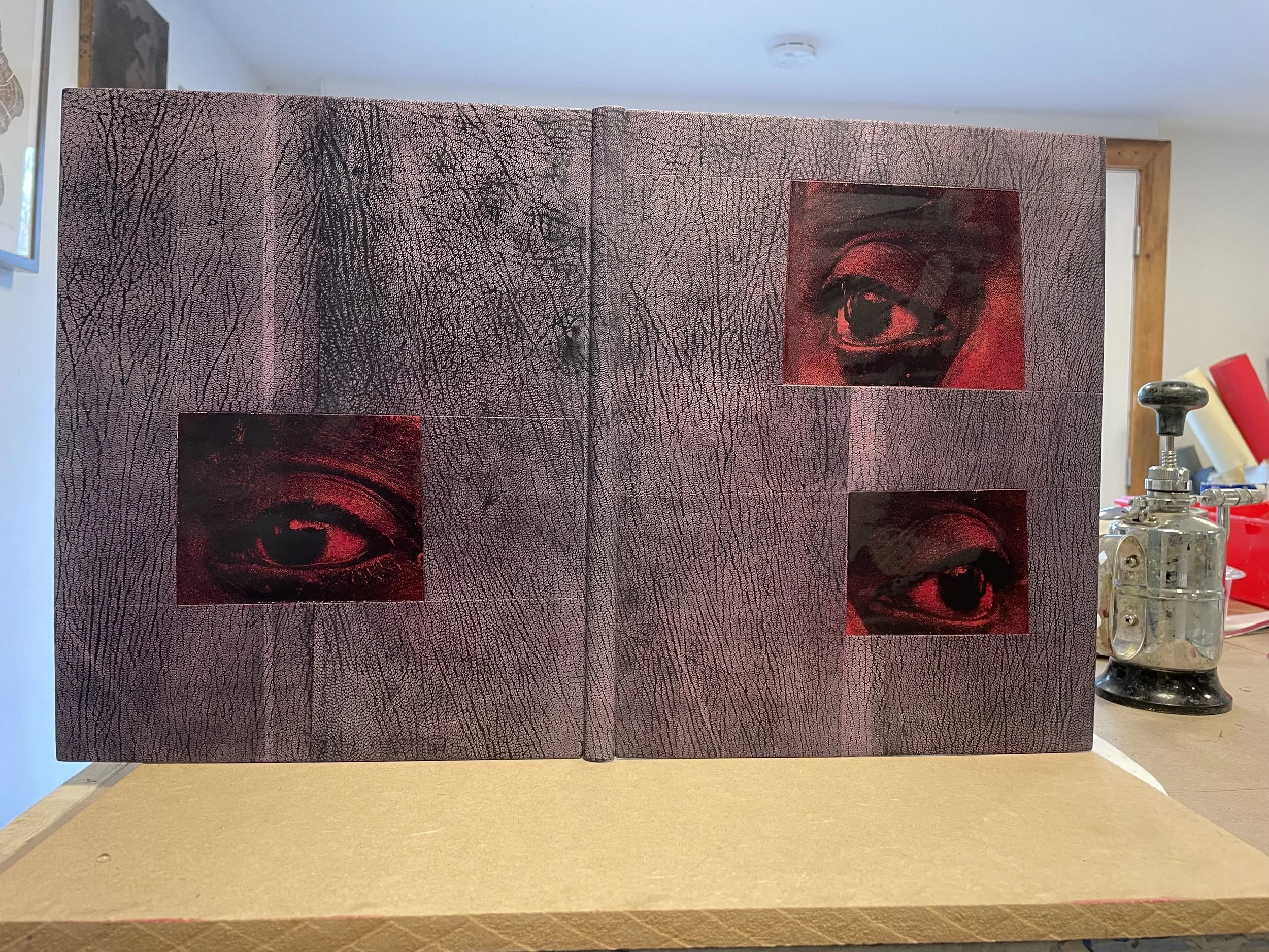 Dovey Binding of Gypsy 1.jpeg