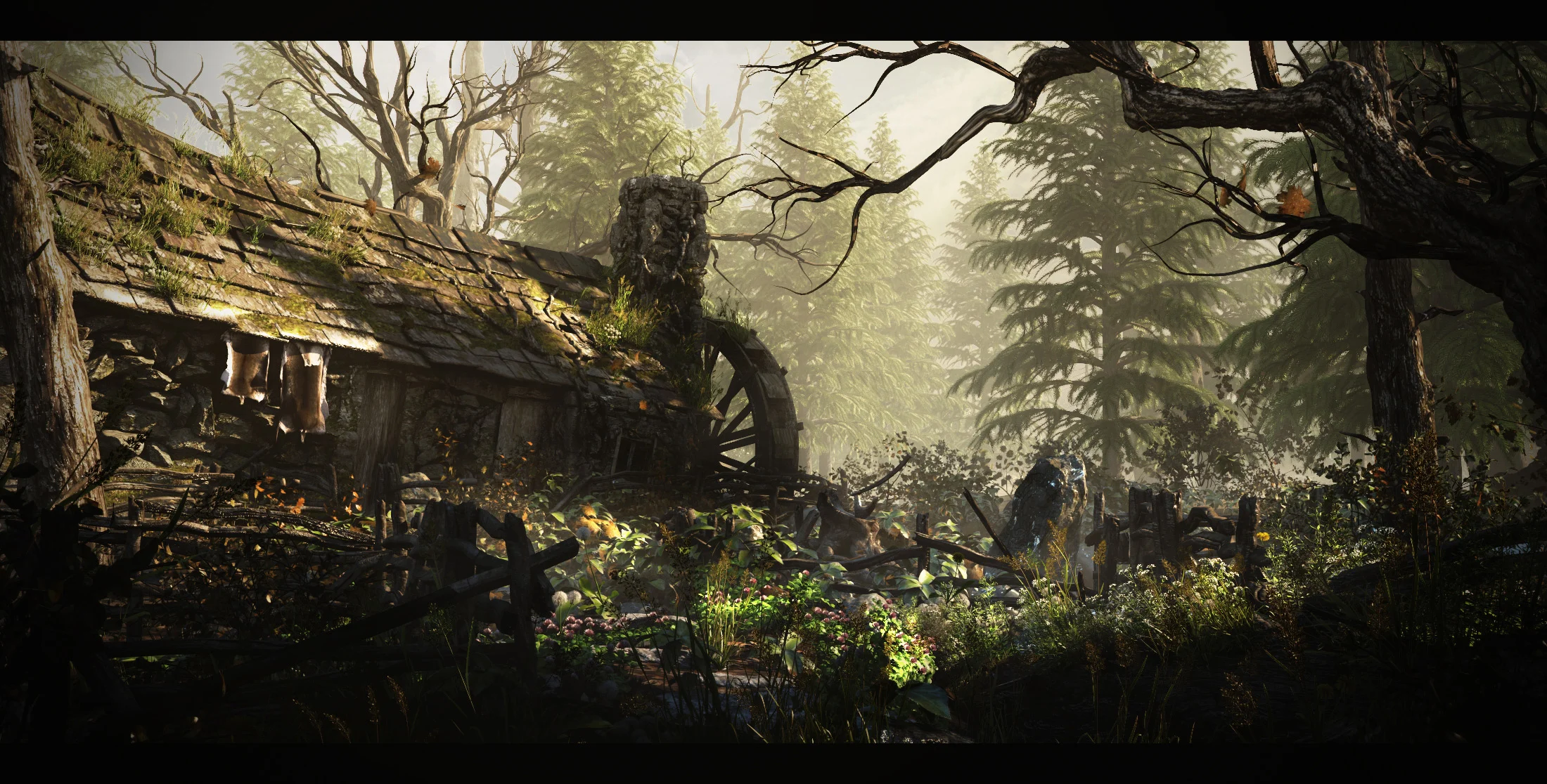 Study