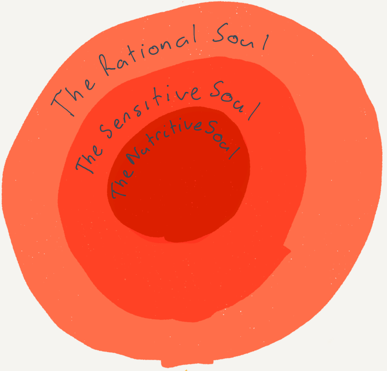Aristotle's model on the soul. 