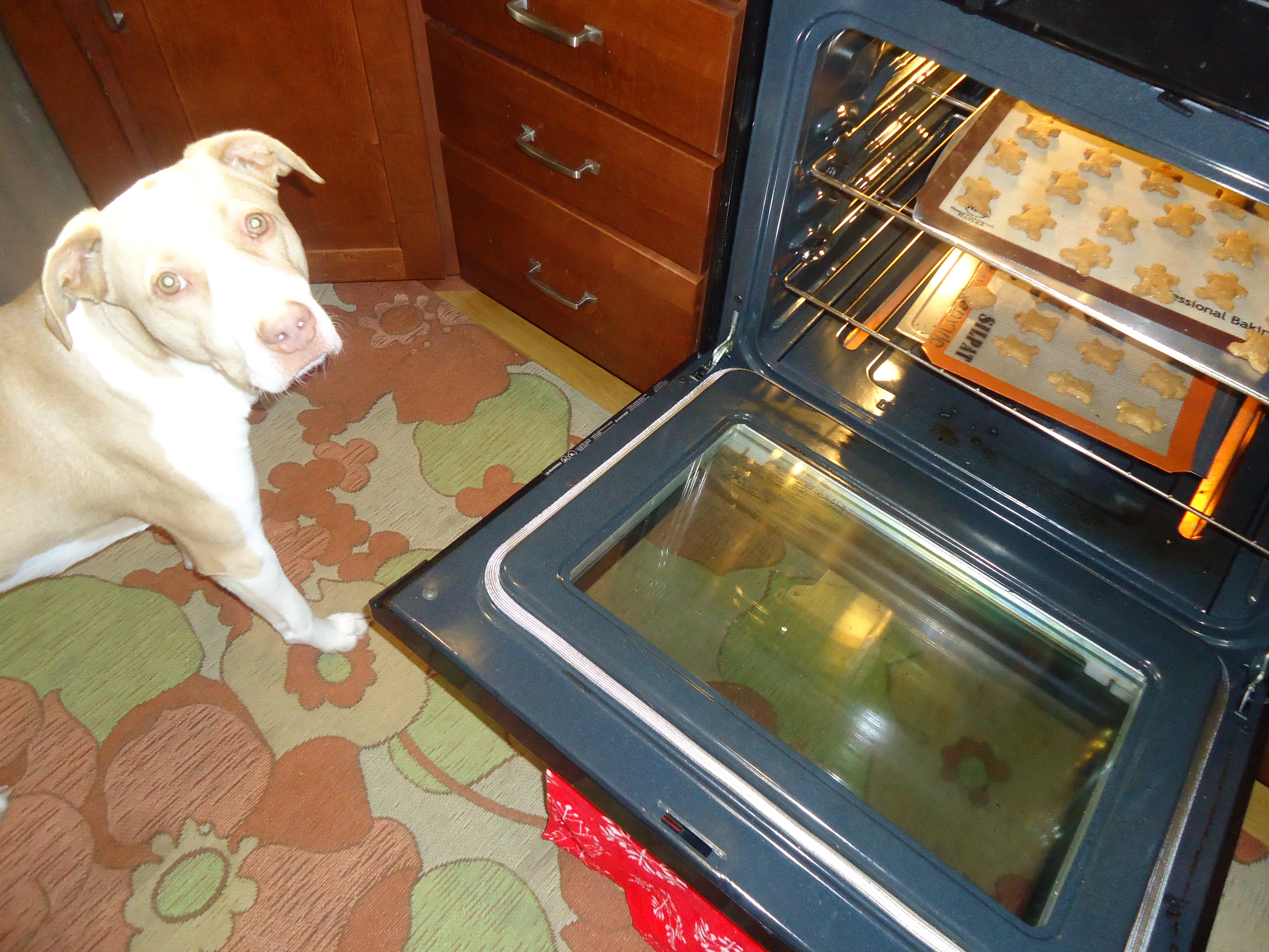 Willies Peanut Butter &amp; Honey Dog Biscuits