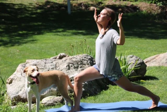 5 Minute Revitalizing Yoga Burst: Yoga Video with Dogs