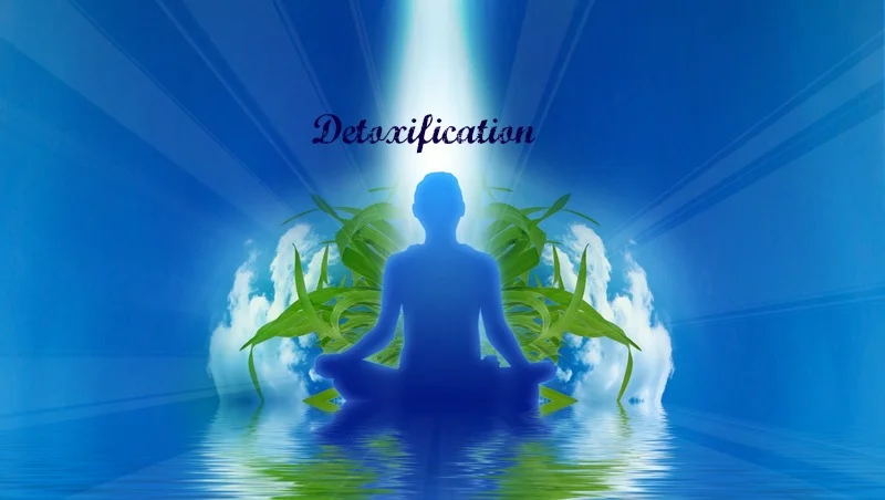 Meditation for Detoxification: Guided Self Practice