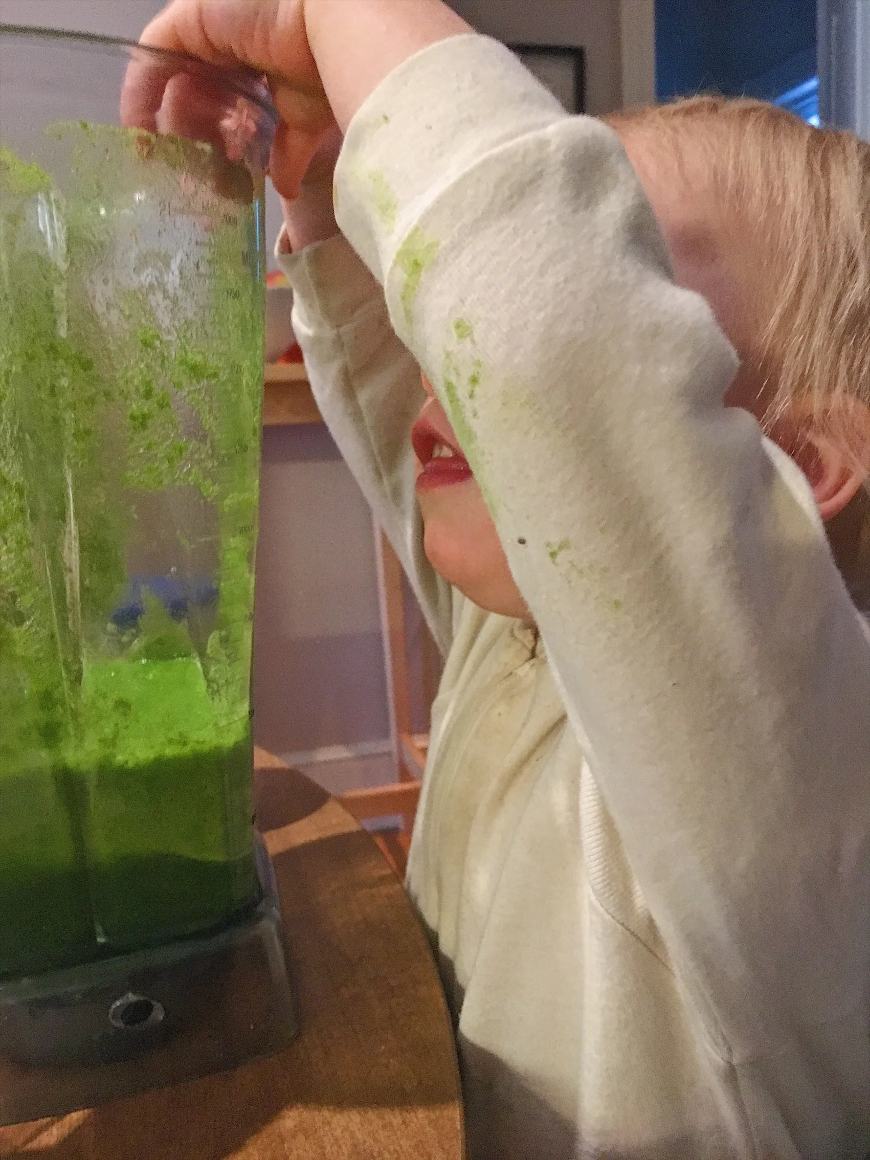 6 Toddler Friendly Recipes with Sneaky Veggies