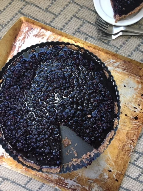Gut-Building Wild Blueberry Tart