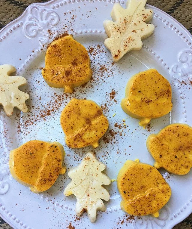 FALL/WINTER GELATIN JIGGIES
.
.
.
Another riff on these fun little gelatin bites. The perfect after dinner treat for the kids when I&rsquo;m trying to get the dishes done!(Get more info on health benefits of gelatin in my gut-building blueberry tart 