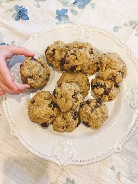 Gluten-Free, Nut-Free, Vegan Chocolate Chip Cookies 