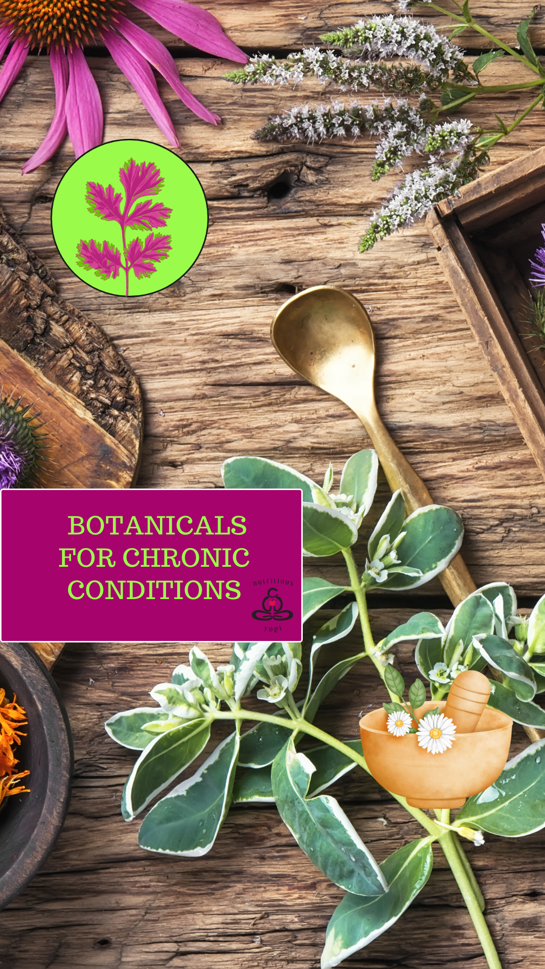 Botanicals for Chronic Conditions
