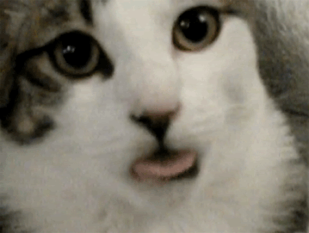 I can't stop watching this.