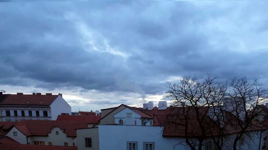 P1030979.jpg