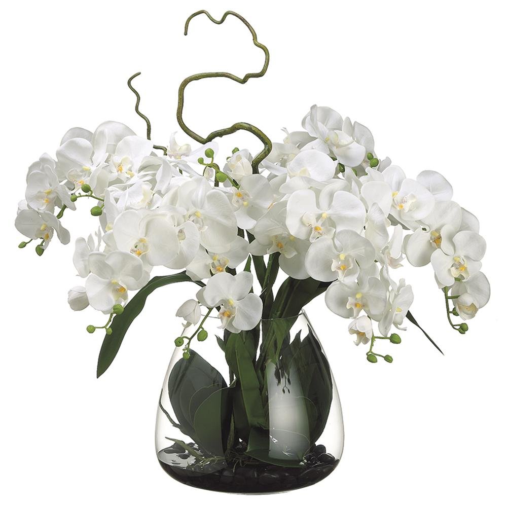 Orchid in clear vase