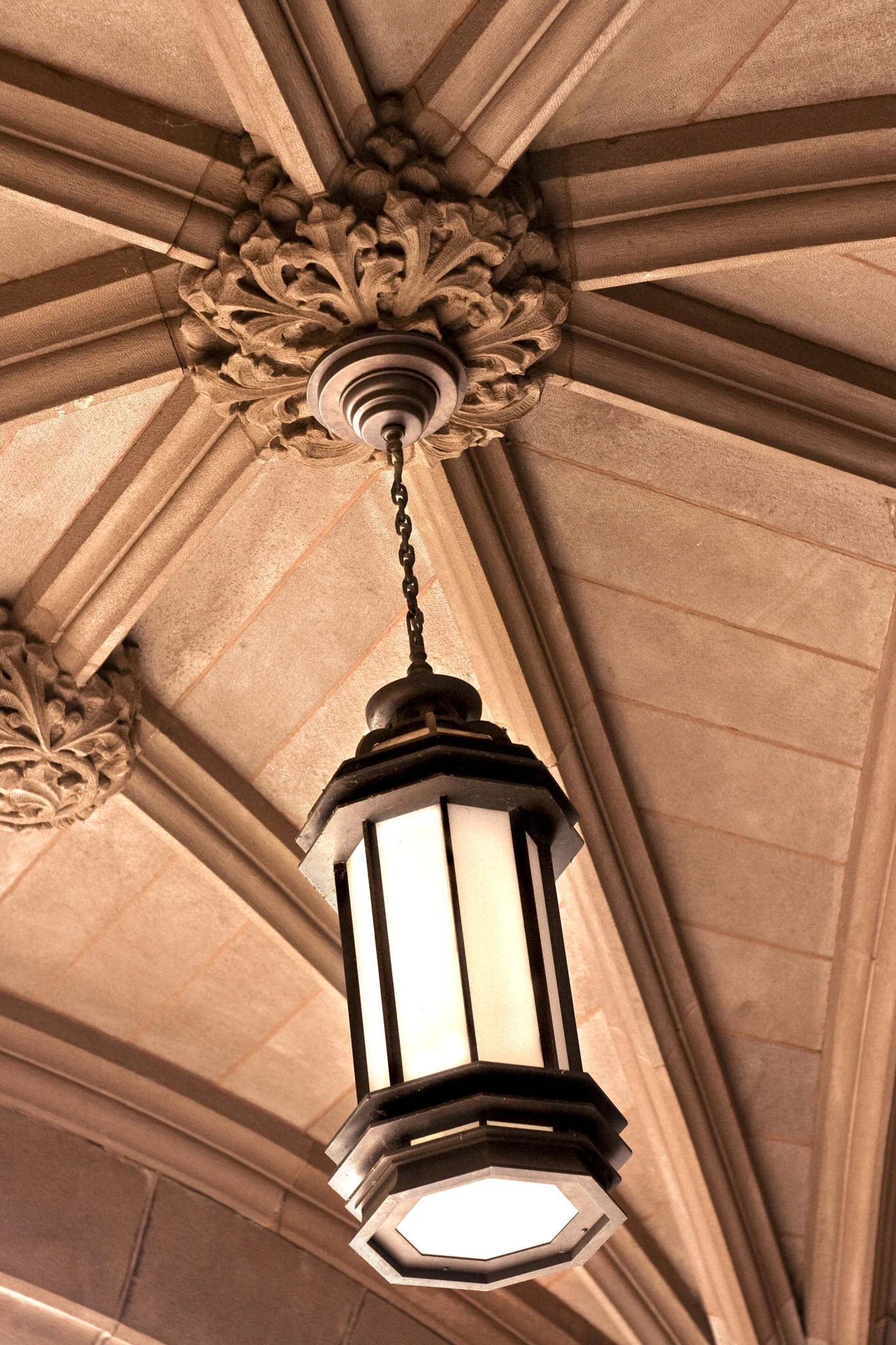 Princeton Light_web.jpg