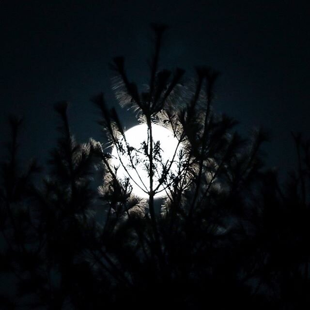 &quot;We all shine on...like the moon and the stars and the sun...we all shine on...&quot;
john lennon
#supermoon #moon #naturephotography #canon #teamcanon
