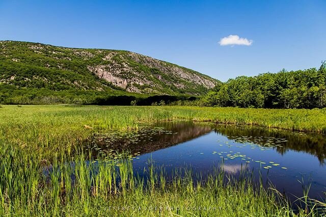 &quot;Over every mountain there is a path, although it may not be seen from the valley.&quot; ~Theodore Roethke

#earthday #maine #barharbor #acadianationalpark #perseverance #patience #naturephotography #teamcanon