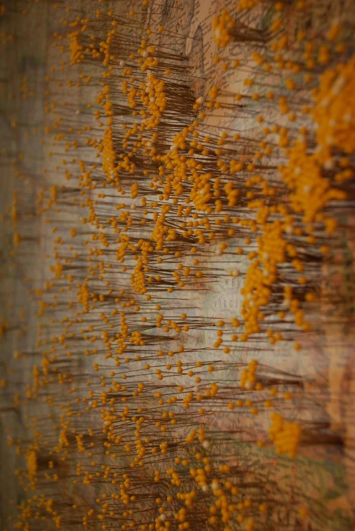 Remember: Every Pin Is A Soldier