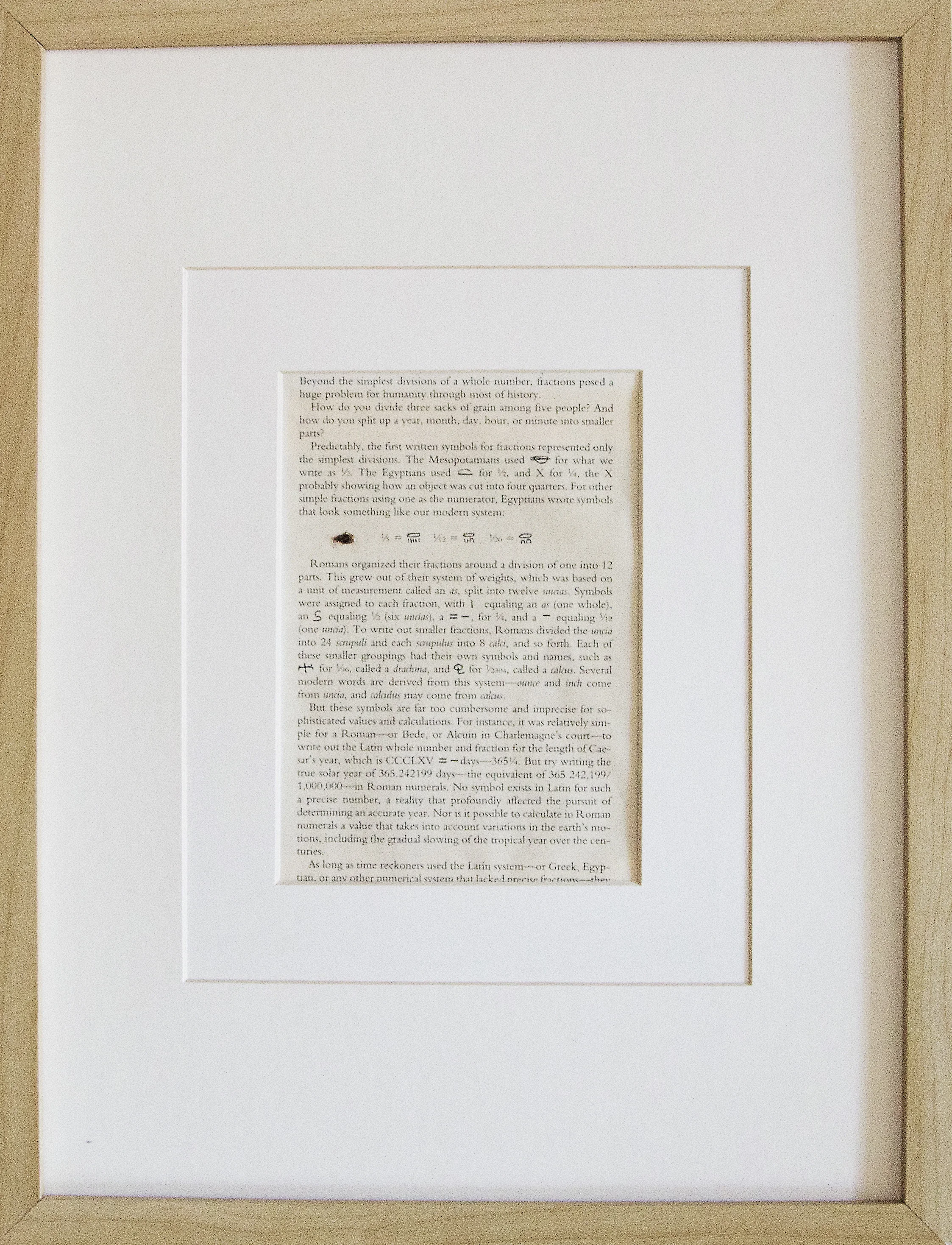 Problems, Applied , 2012. paper, insect remains, glue