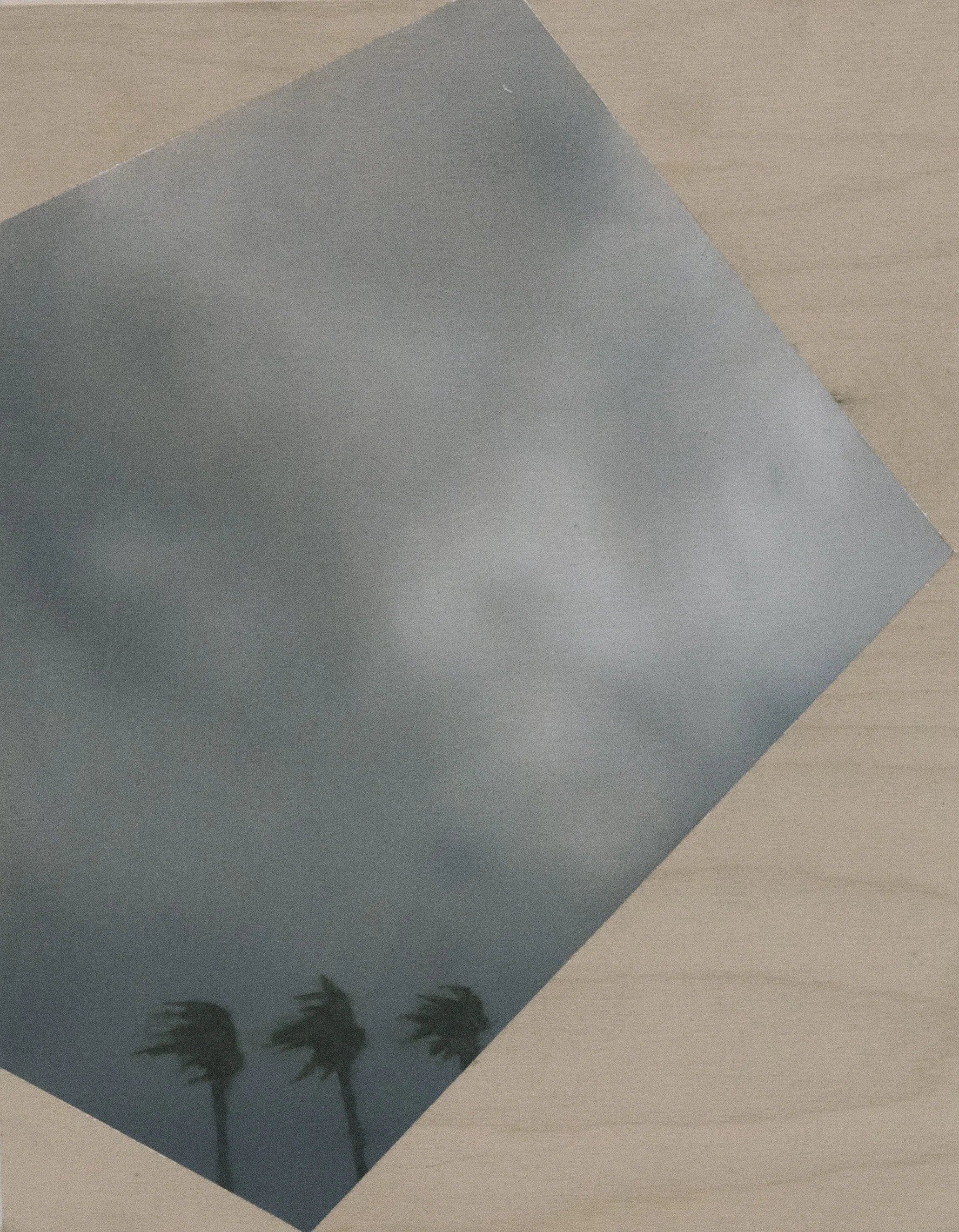 Untitled , 2012. oil on board