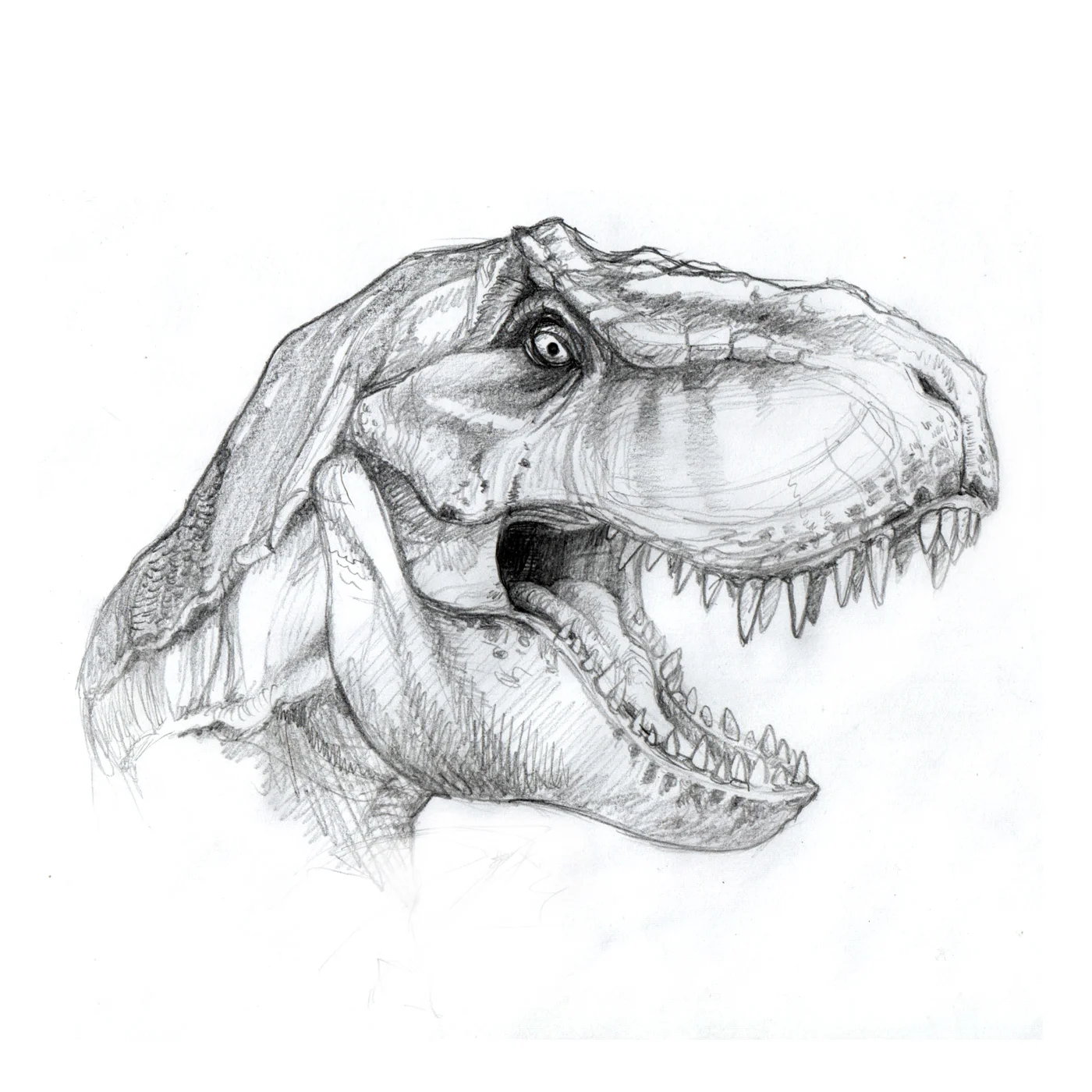 trex_web.jpg