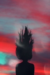 sh4.jpg