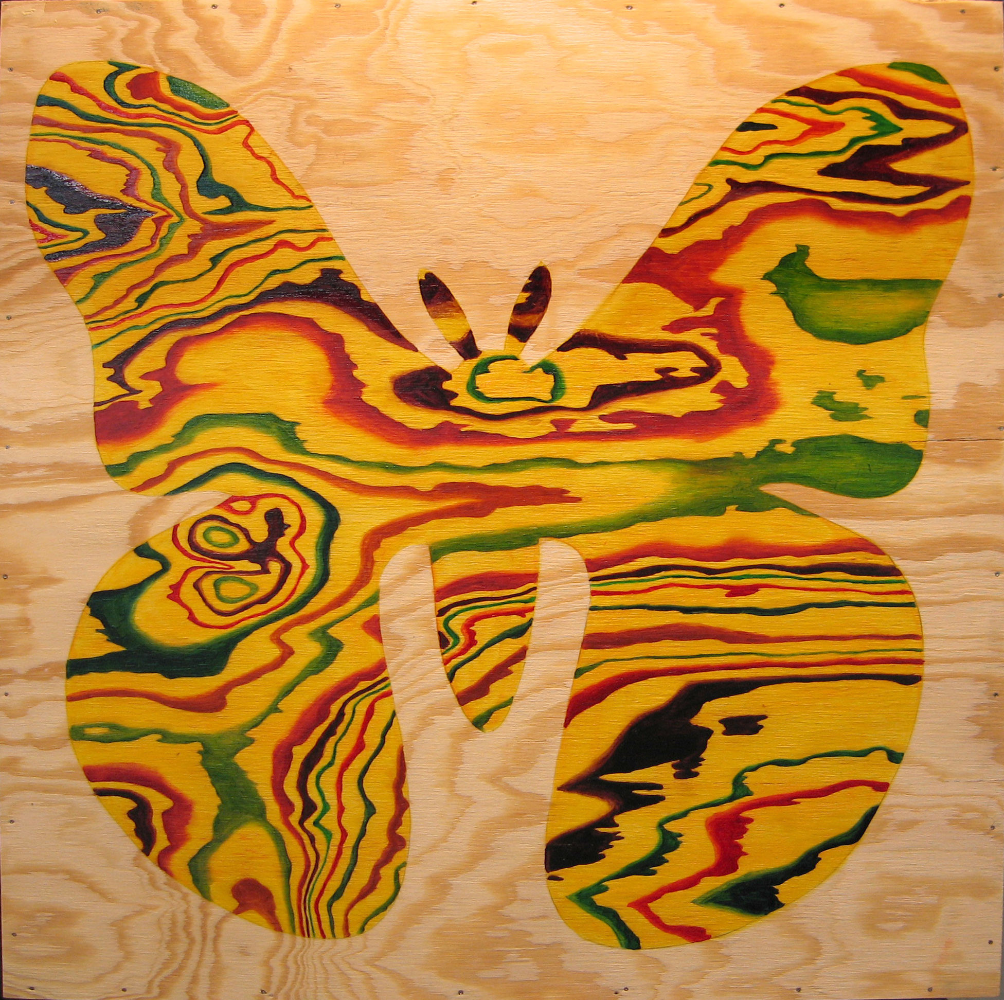 Moth, 2006