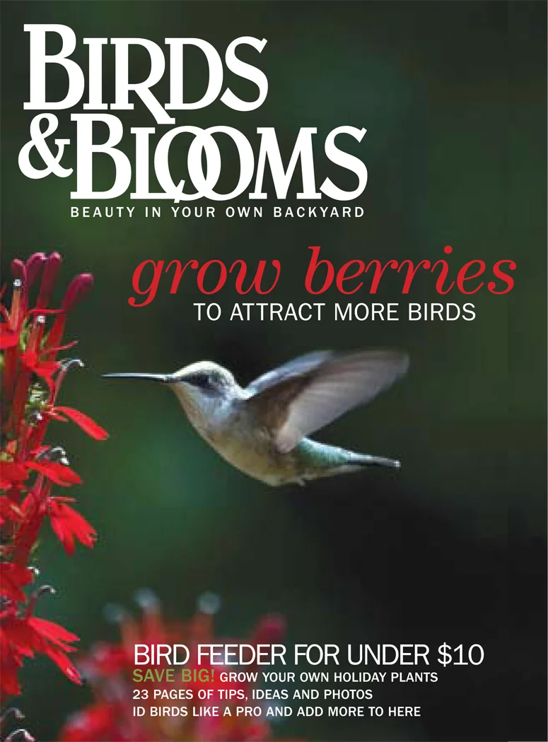 Birds & Blooms redesign, prototype cover