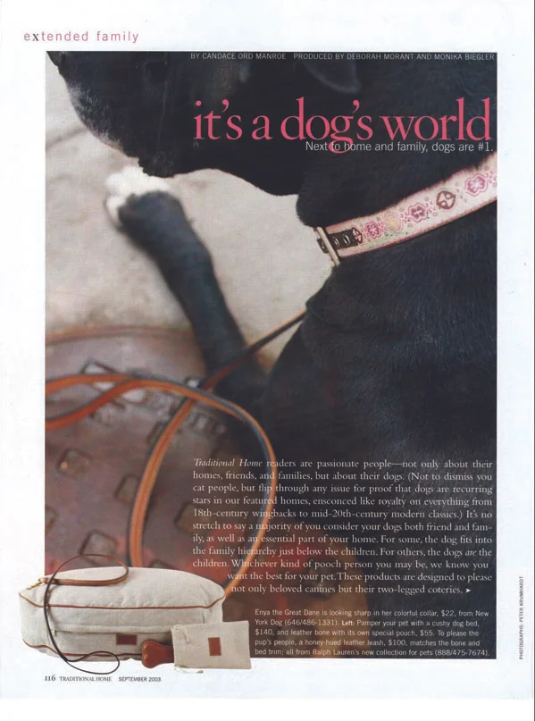 Traditional Home Magazine