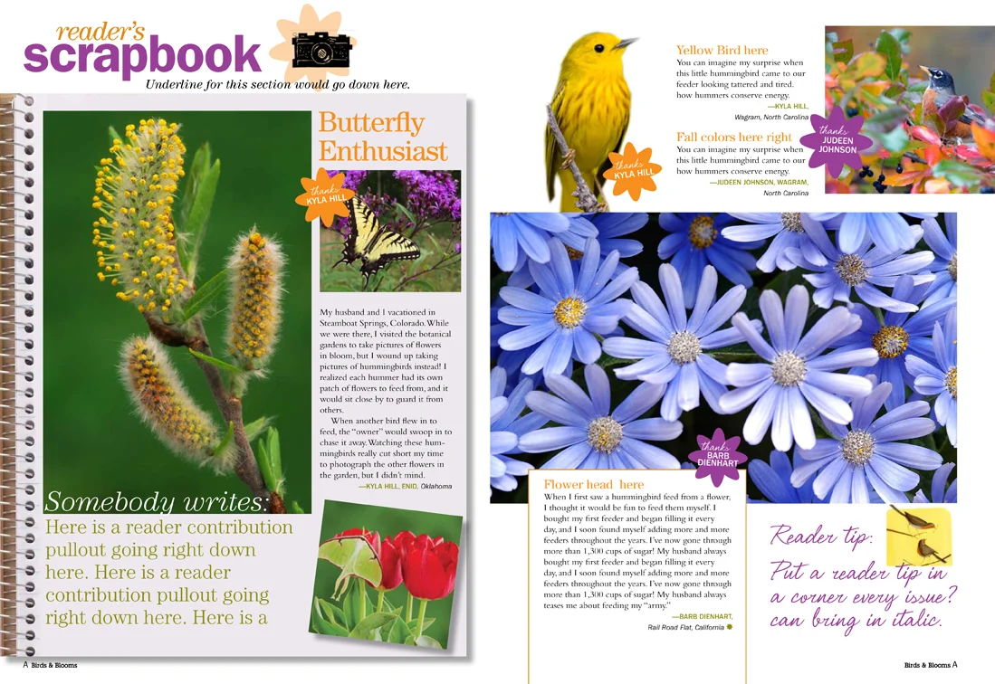 Birds & Blooms redesign, prototype design