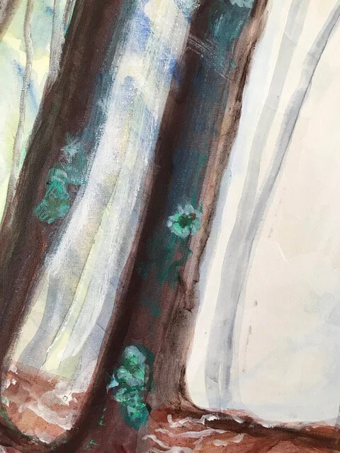 Cathedral Forest_DET 3.jpeg