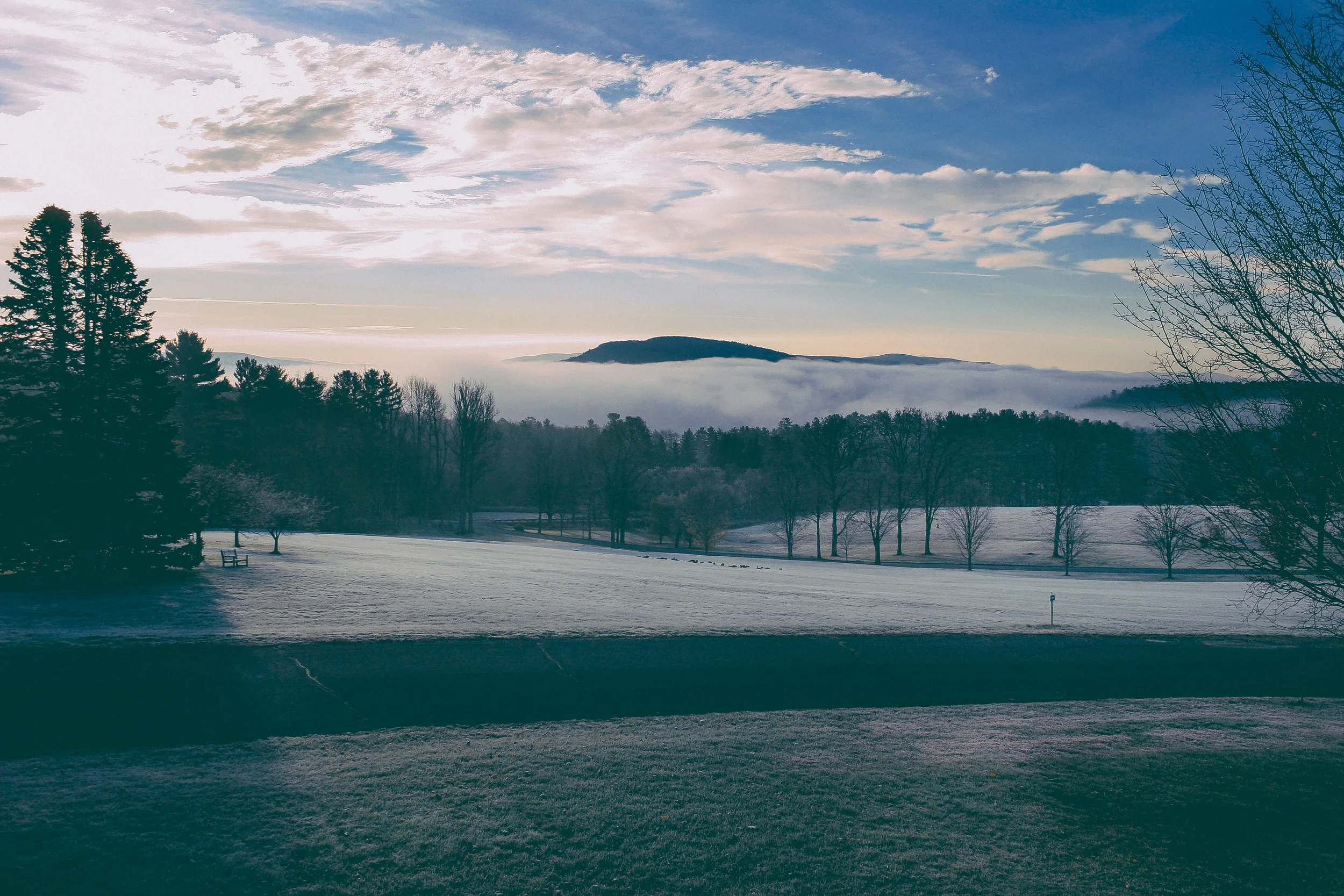LANDSCAPES-6.jpg