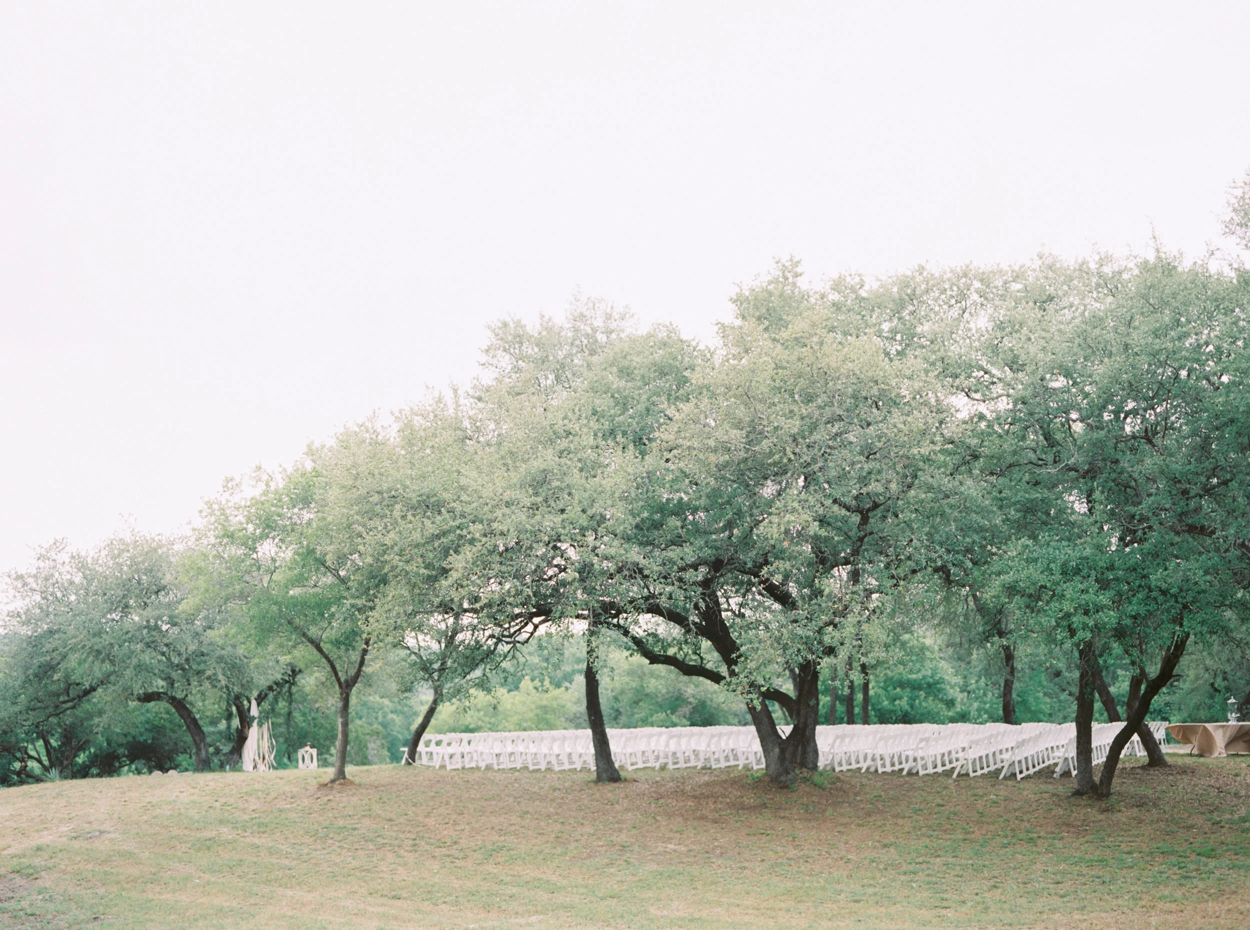 82492_02.jpg