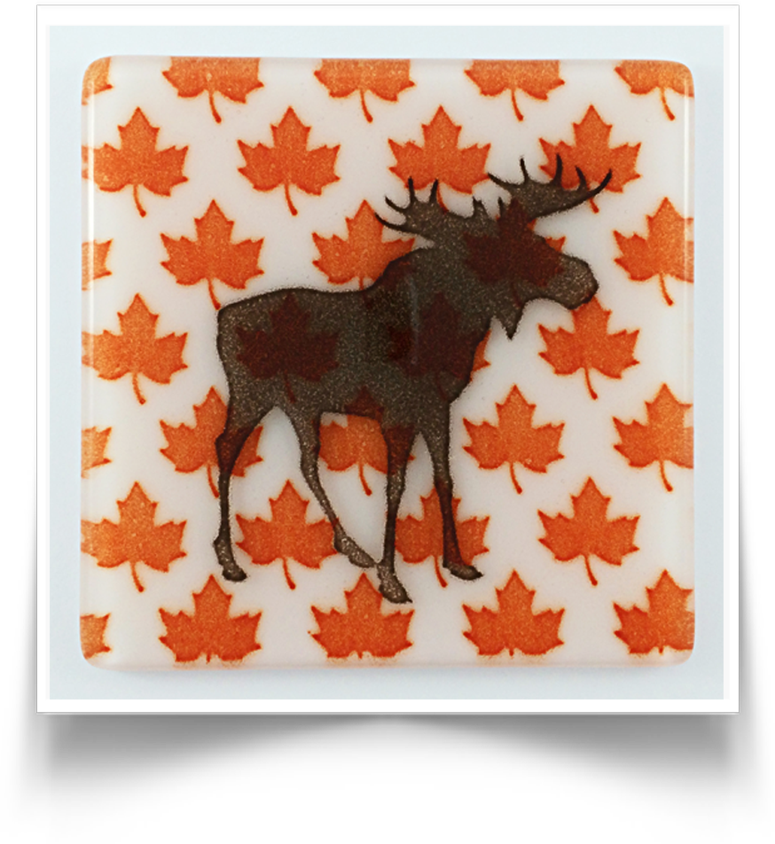 Moose Coasters