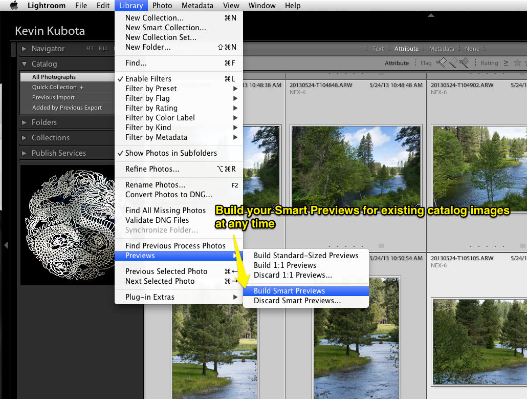 For existing images, you can generate the smart previews by selecting them then using the menu option