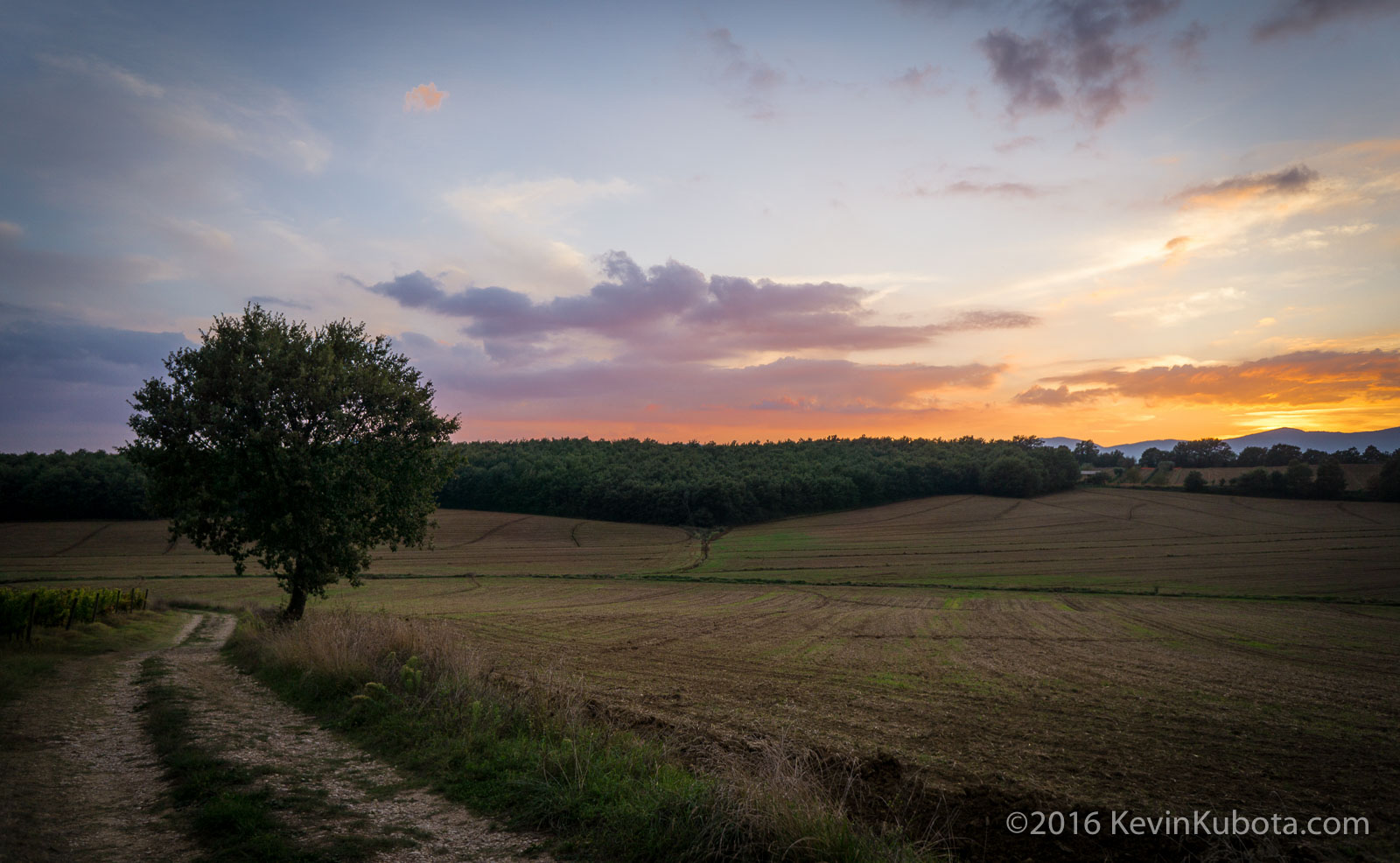 007_MotoPhotoItaly ©KevinKubota-0194.jpg