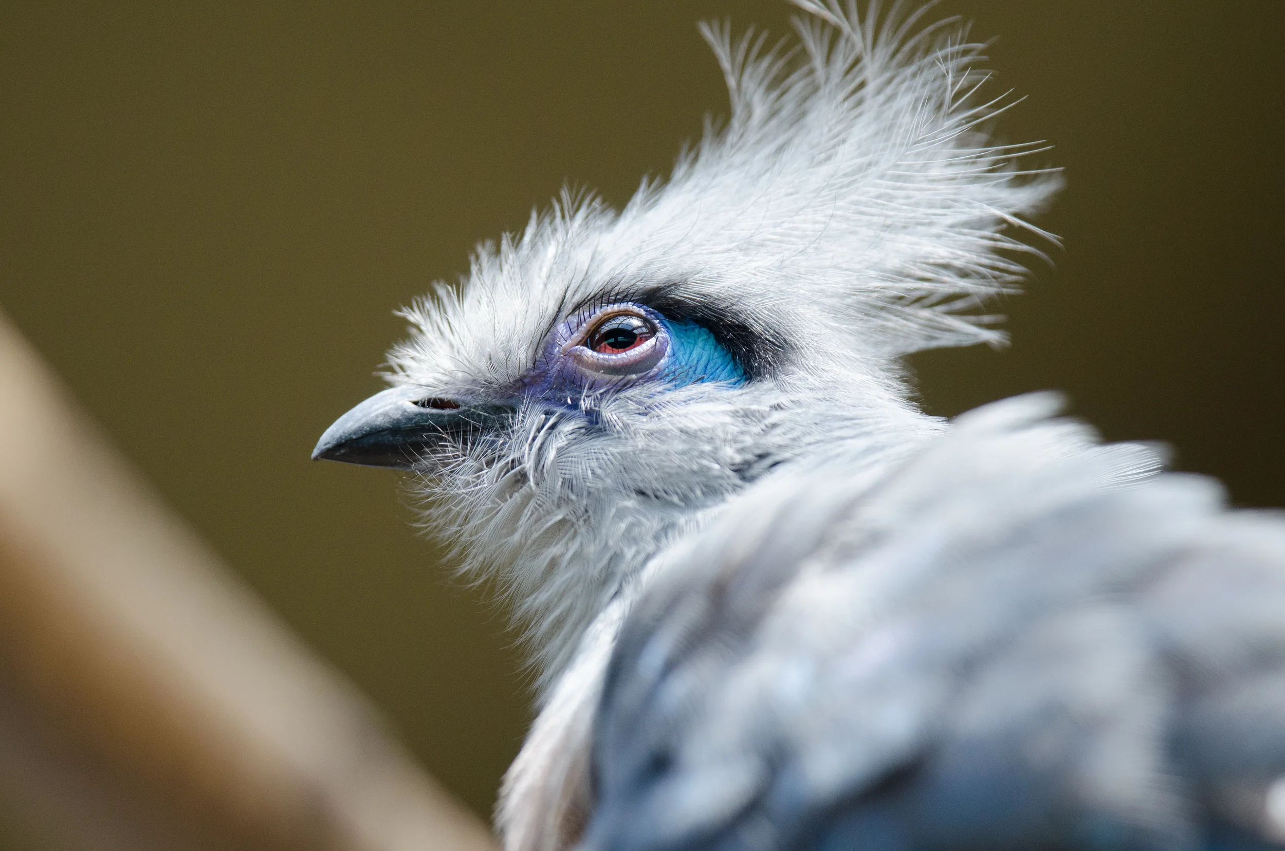 Zoo (13 of 15).jpg