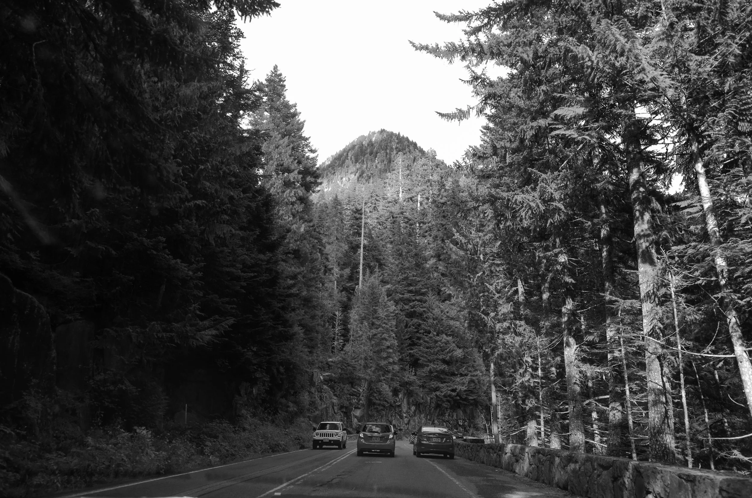 Seattle (29 of 67).jpg