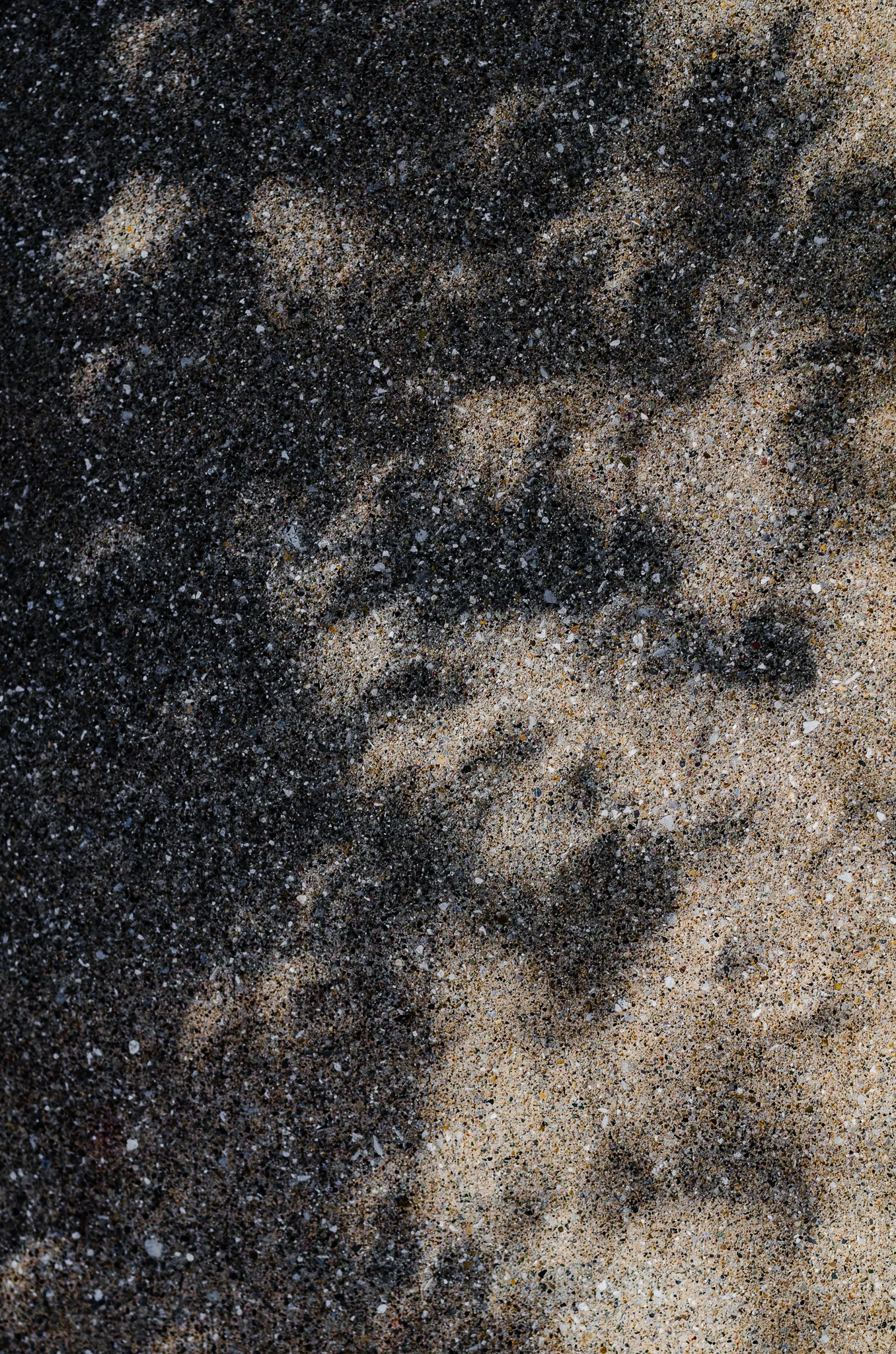 Solar Eclipse (14 of 14).jpg