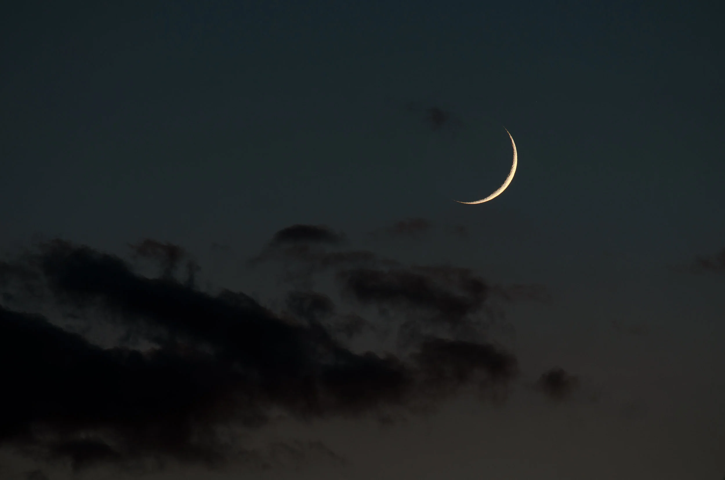 Crescent 2 (1 of 1).jpg