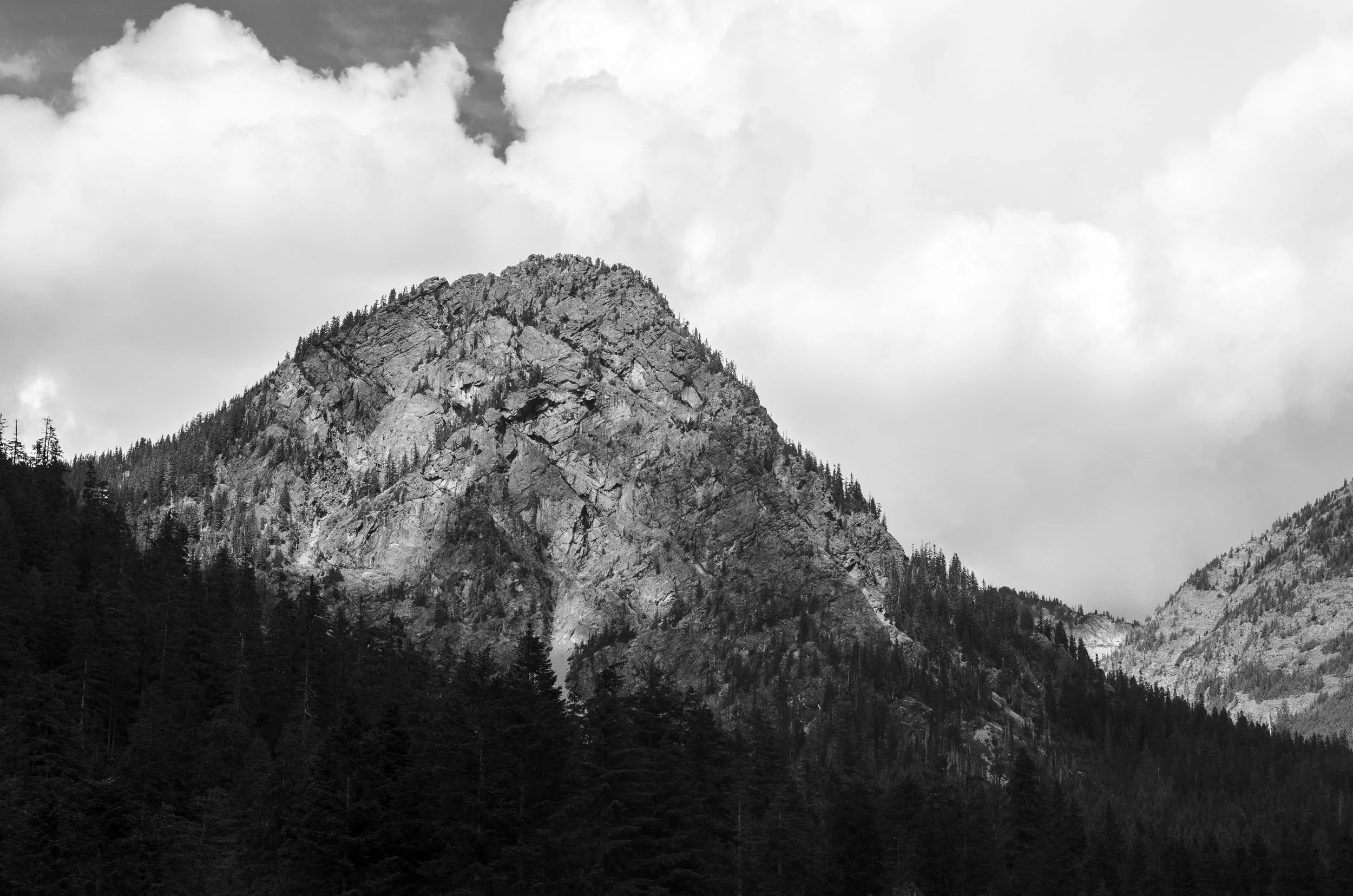 WA (102 of 102).jpg