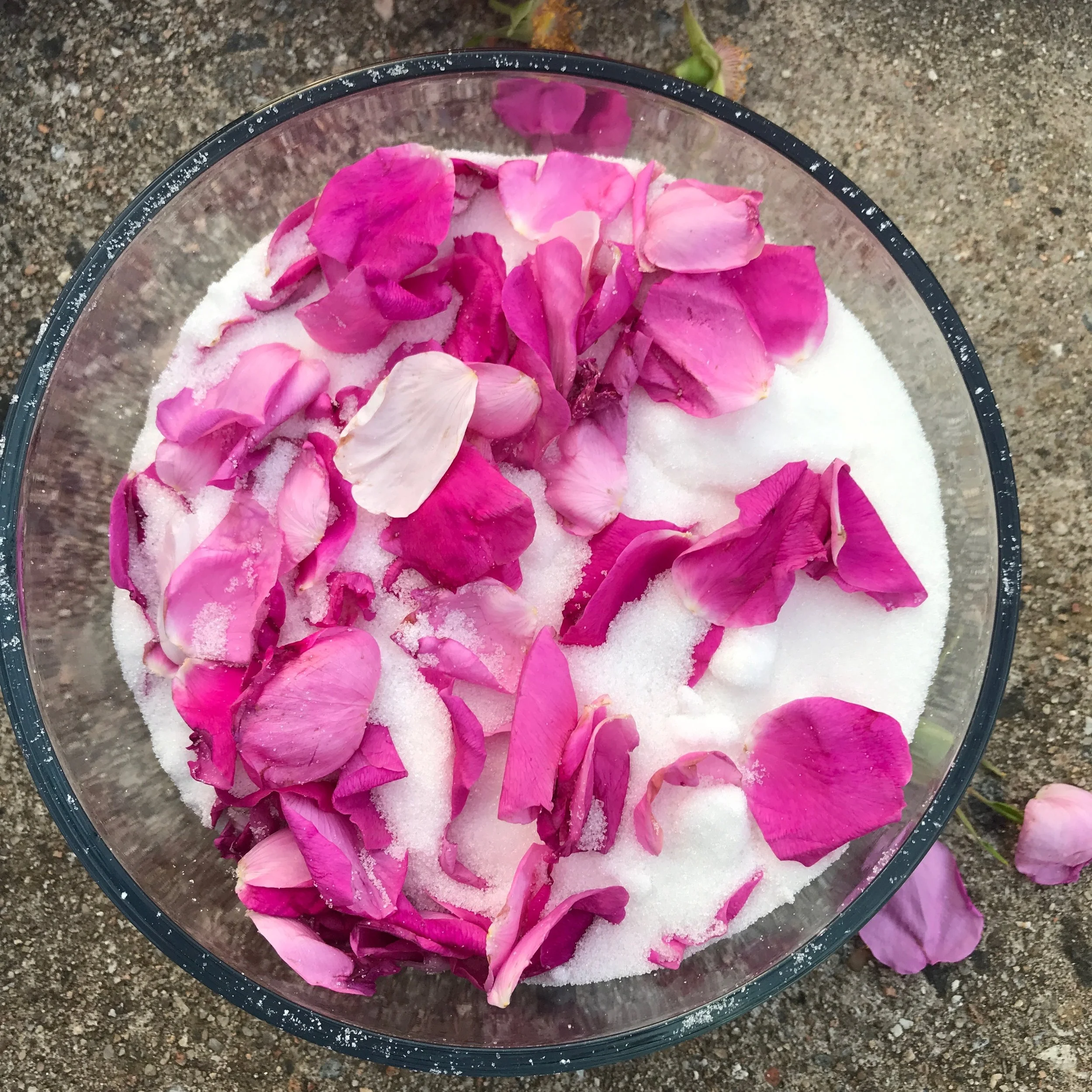 Recipe for rose sugar - hang out with your mother on the coast of Saint Mary's Bay, collect wild roses. Place in sugar. 