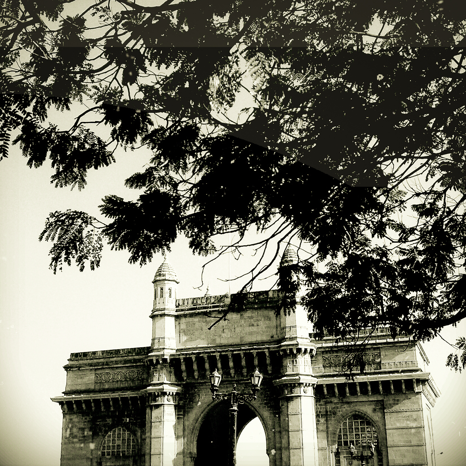 Calcuttawala_110315_1297075212997.jpg