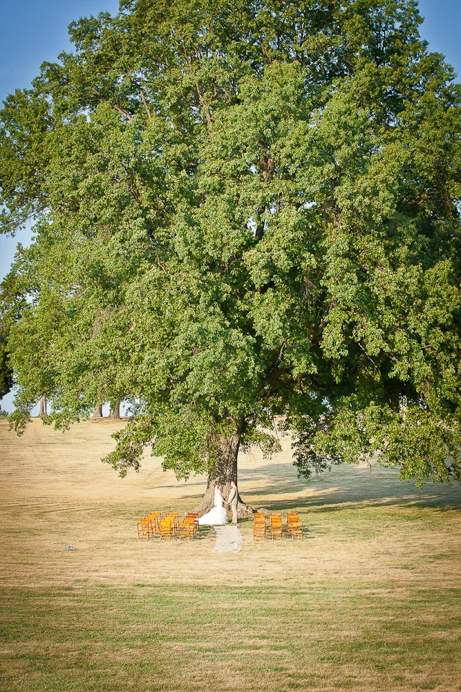Calcuttawala_120706_6276.jpg