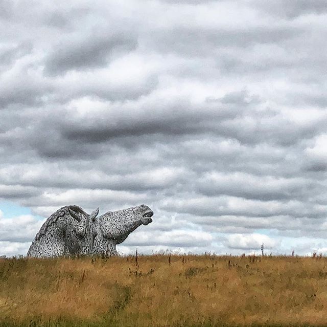 #kelpies #edinburgh #falkirk #horsies #scotland