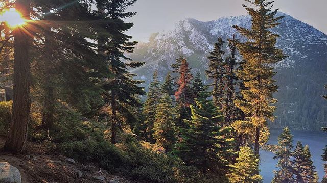 #emeraldbay #laketahoe #california #nevada #forest #sunflare