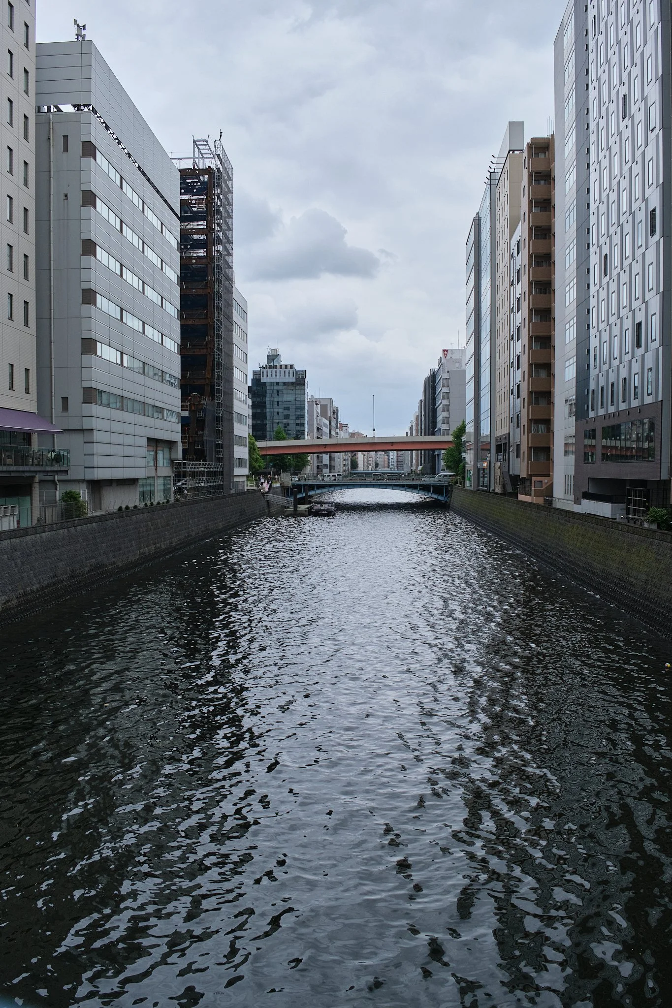 _DSF4027.jpg
