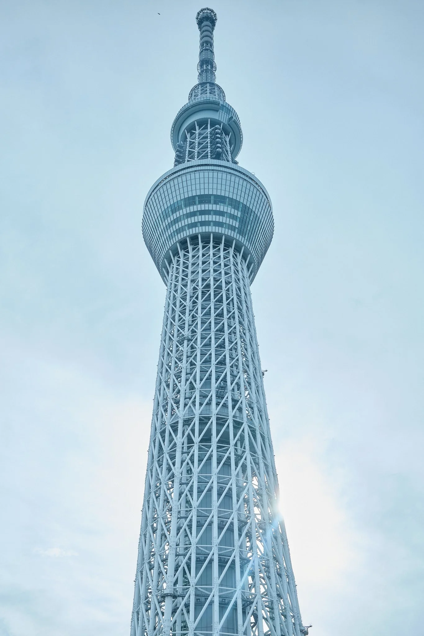 _DSF4136.jpg