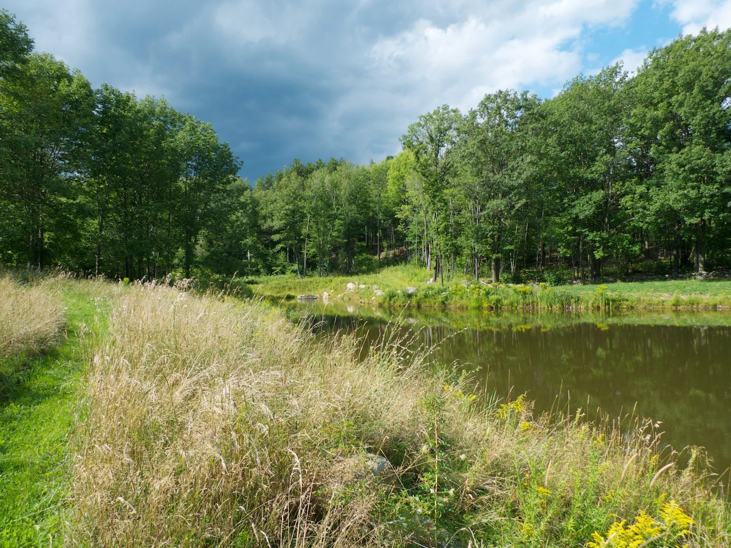 Pond at Derbyshire Farm in Temple, NH