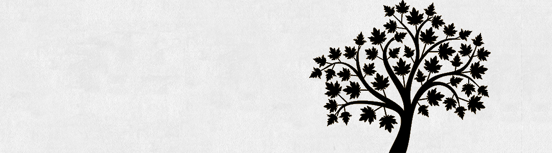 NewMaple-png24.png