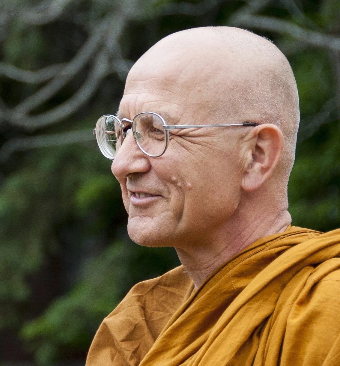 Luang Por Viradhammo